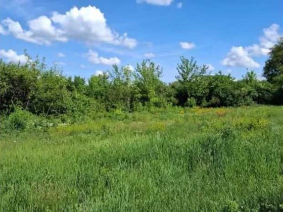 Ділянка 14 соток під будівництво, СТ Залісся, Броварський район Богданівка