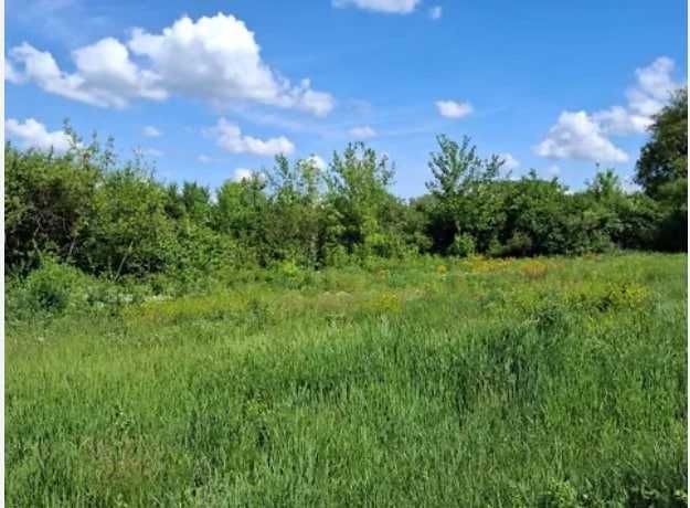 Ділянка 14 соток під будівництво, СТ Залісся, Броварський район - фото 1