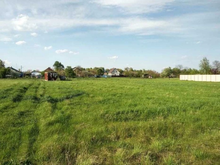 Продаж земельної ділянки Богданівка 25 сот, Київська область - фото 1