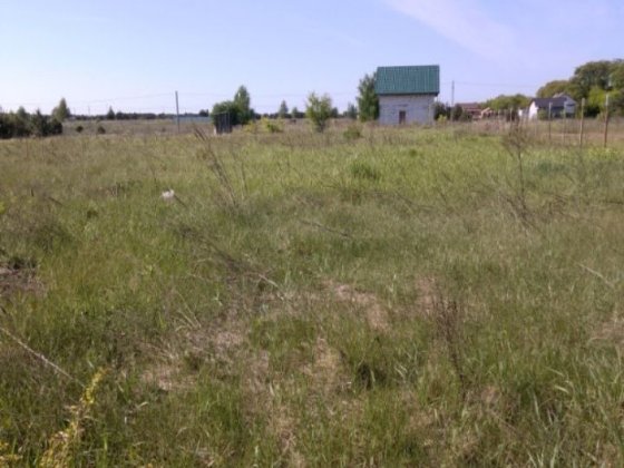 Земельна ділянка в селі Богданівка Богданівка