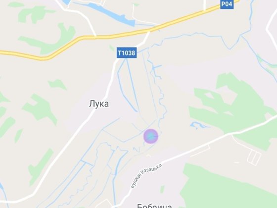 50 соток з прямим виходом до водойми Бобрица