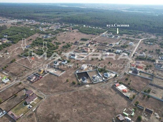 Бобриця Продаж ділянок по 25 соток з молодими соснами Бобриця