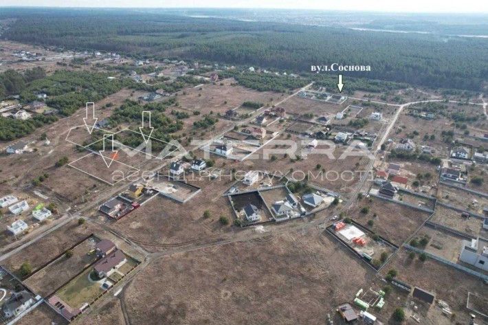Бобриця Продаж ділянок по 25 соток з молодими соснами - фото 1
