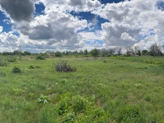 Без комісії! Продаж приватизованої ділянки 25 соток, від власника, у с. Велика Солтанівка. Великая Солтановка