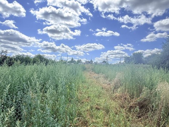 Продаж фасадної земельної ділянки 12 соток в центрі Гаврилівки Гавриловка