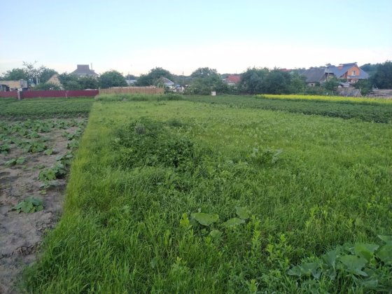 Продам ділянку у с. Гнатівка 6,13 соток Гнатовка