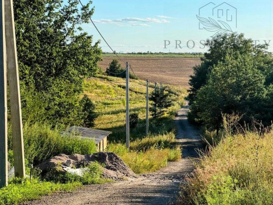 8 сот під забудову Горбовичі / біля лісу Горбовичи
