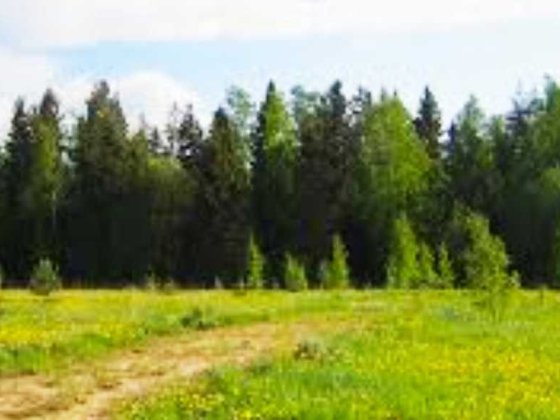 Ділянка с.Горбовичі 1га 30000у.о. Горбовичи