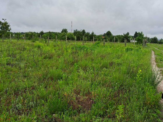 Терміновий продаж! Земельна ділянка у с.Гурівщина (Буча) Гурівщина