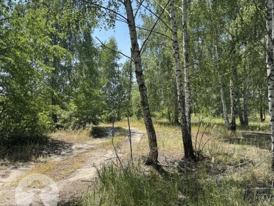 10 соток під будівництво | Куба Дмитрівка | Біля лісу Дмитрівка