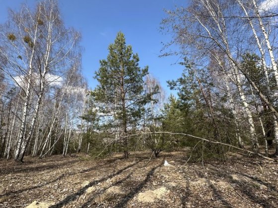 Дмитрівка  куба )ділянка 10 соток Дмитровка
