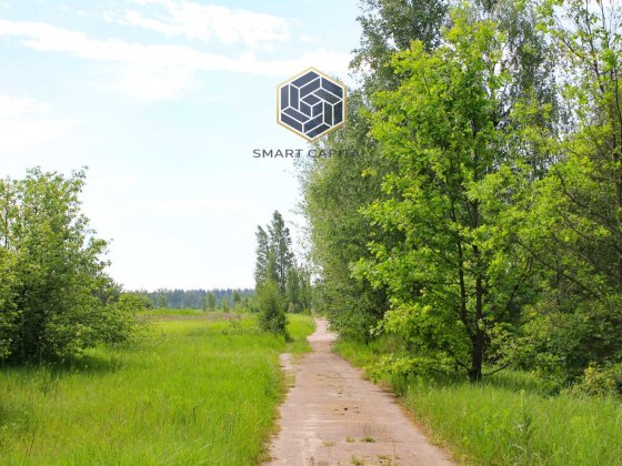 Продаж ділянки в оточені лісу Дмитрівка Дмитровка