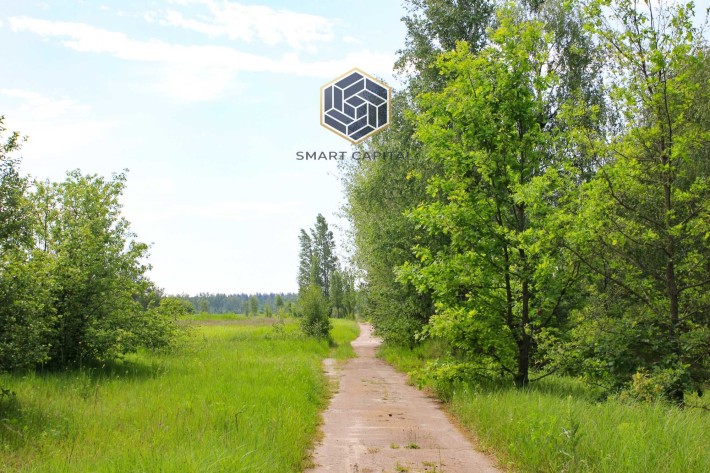 Продаж ділянки в оточені лісу Дмитрівка - фото 1