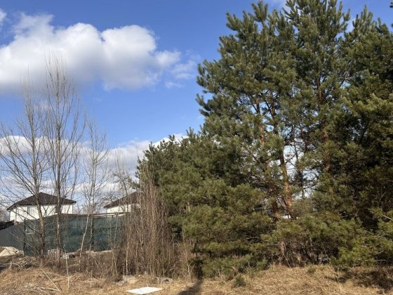 Дмитрівка , 12 соток під забудову Дмитровка
