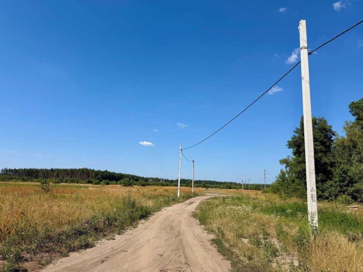 КУТОВА Ділянка 15 сот з Соснами біля Лісу. Дмитрівка. Без комісії - фото 1
