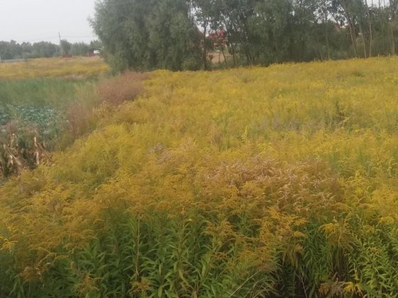 Продам ділянку під Києвом Дударків
