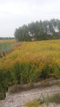 Продам ділянку під Києвом - фото 1