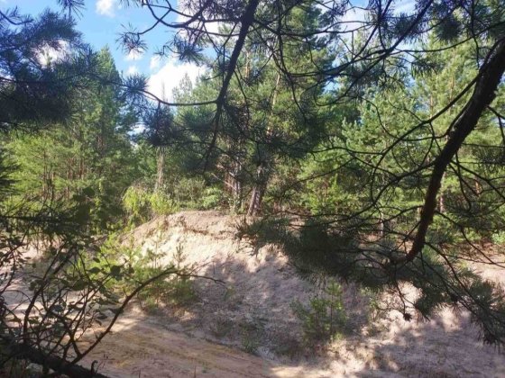 Ділянка 8 соток Забуччя Забуччя