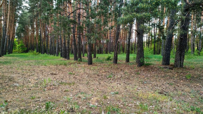 Продаж 16 соток під будівництво село Здвижівка Бучанський р-н - фото 1