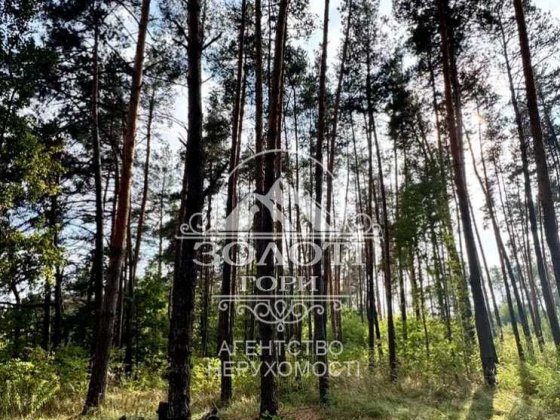 Ділянка с. Дмитрівка 24 сотки. Прокурорське містечко, під забудову Дмитровка