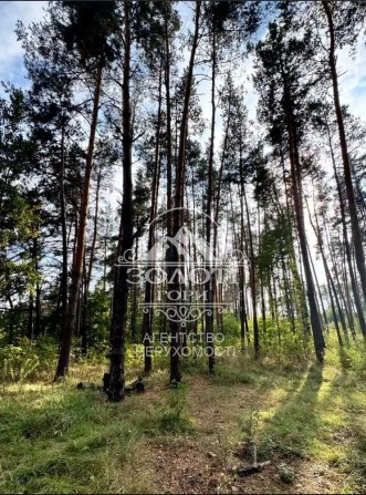 Ділянка с. Дмитрівка 24 сотки. Прокурорське містечко, під забудову - фото 1