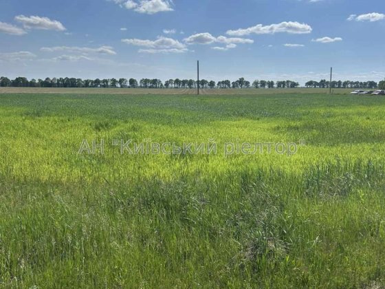 Без %. Продаж земельної ділянки 25 сот, с.Дударків Борисп.р-н Дударків