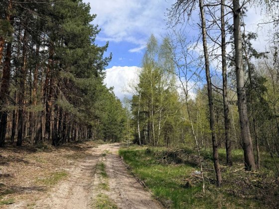 Продам ідеальну ділянку під ретрит центр, або базу відпочинку серед лісу! 25хв до Києва! Здвижівка