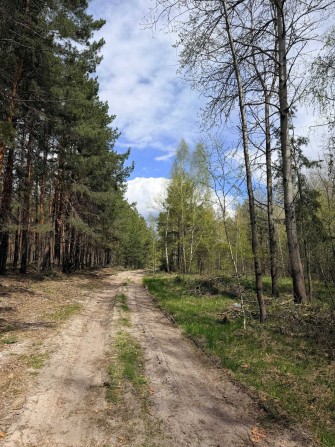Продам ідеальну ділянку під ретрит центр, або базу відпочинку серед лісу! 25хв до Києва! - фото 1