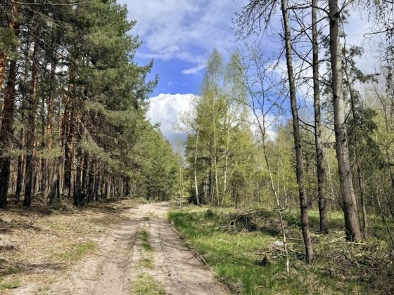 Земельна ділянка 4 га поруч з великим лісом!!!с.Здвижівка. Здвижівка