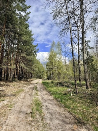 Земельна ділянка 4 га поруч з великим лісом!!!с.Здвижівка. - фото 1