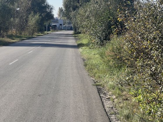 Земельна ділянка 22 сот. під будівництво с. Зазим'я, Зазим'я