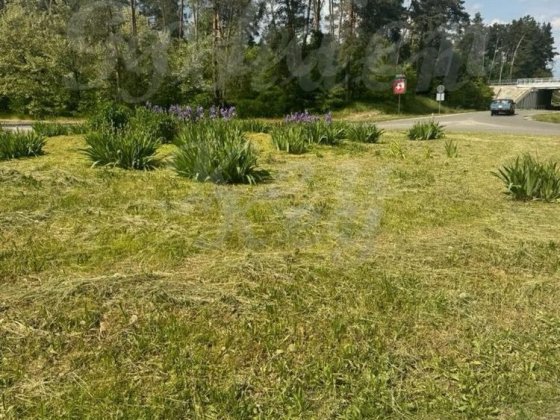 Продам Земельну Ділянку 12сотих,10КВТ електроенергіі,с.Іванків,ЦЕНТР Иванков