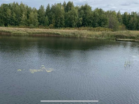 Кийлів.Продаж.Земельна ділянка з виходом на воду (Дніпро).ПляжПристань Кийлов