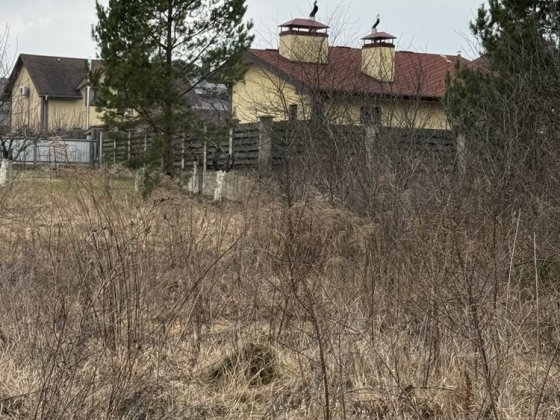 Ділянка на узліссі 23 сот Іванковичі Иванковичи