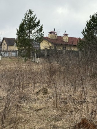 Ділянка на узліссі 23 сот Іванковичі - фото 1