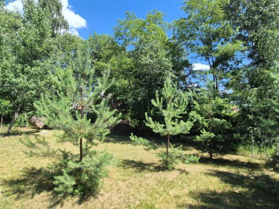 Ділянка на березі р.Дніпро, Кийлів Кийлів