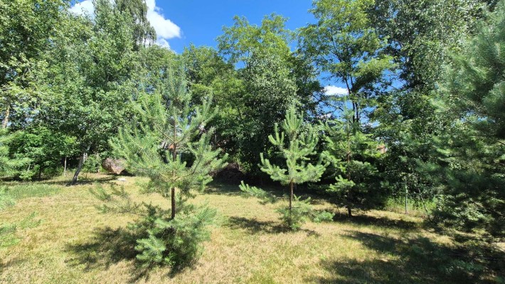 Ділянка на березі р.Дніпро, Кийлів - фото 1