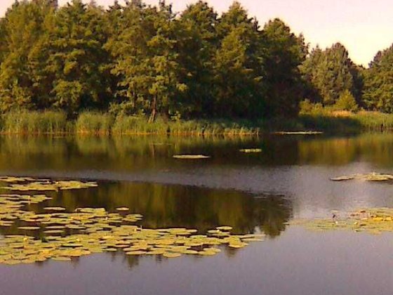 Продам участок с.Кийлов , Бориспольский р-н, Киевская обл. Кийлов