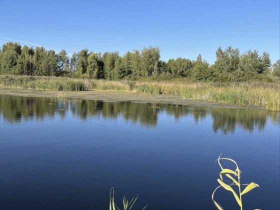 Ділянка з власним виходом до Дніпра Кийлов