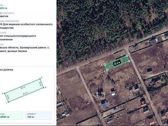Земельна ділянка 9.5 соток у с. Княжичі Княжичі