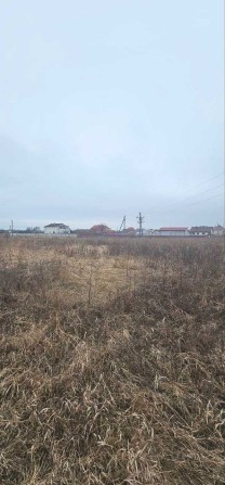 БЕЗ КОМІСІЇ Продам земельну ділянку 15 соток у селі Княжичі, Броварський район - фото 1