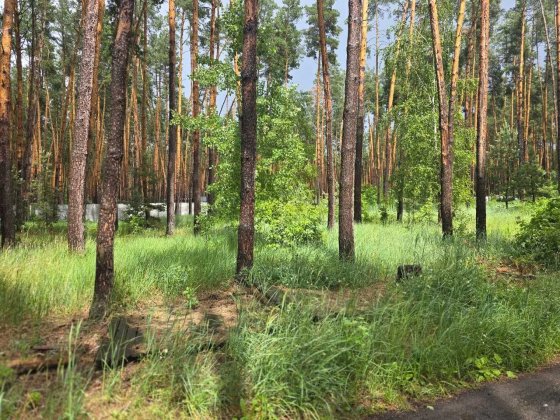 Продаж земельної ділянки Колонщина Фасад 25 соток. Колонщина