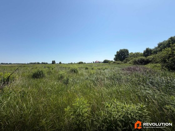 Без комісії. Продаж земельної ділянки 25 соток, село Красилівка, Броварський район Красиловка