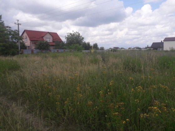 Ділянка в Київській області; с. Красилівка Красиловка