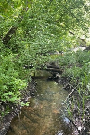 Мальовнича ділянка в Круглику біля столітнього лісу та водойми. - фото 1