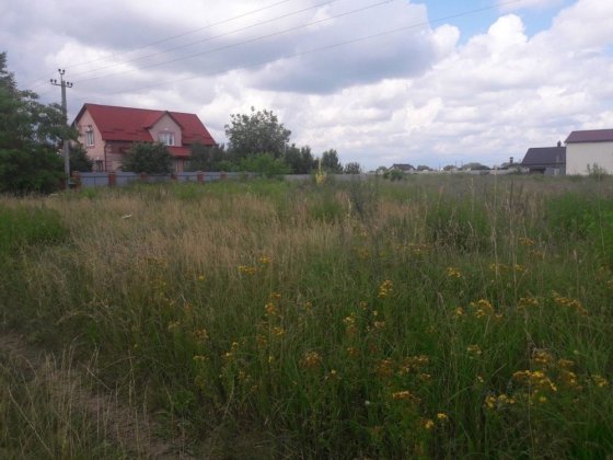 Ділянка 20 соток с.Красилівка Красилівка