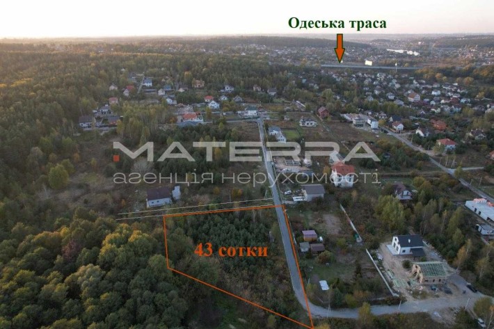 Круглик Продаж ділянки з соснами 43 сотки в оточенні лісу - фото 1
