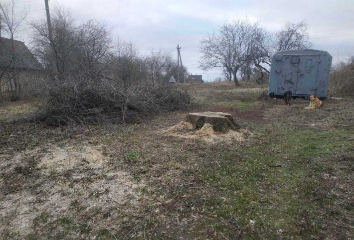 Власник,без комісії,продаємо земельну ділянку 37,7 соток недорого ! - фото 1