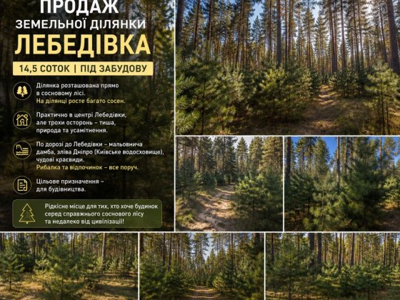 Продаж земельної ділянки в соснах!— ЛЕБЕДІВКА Лебедівка