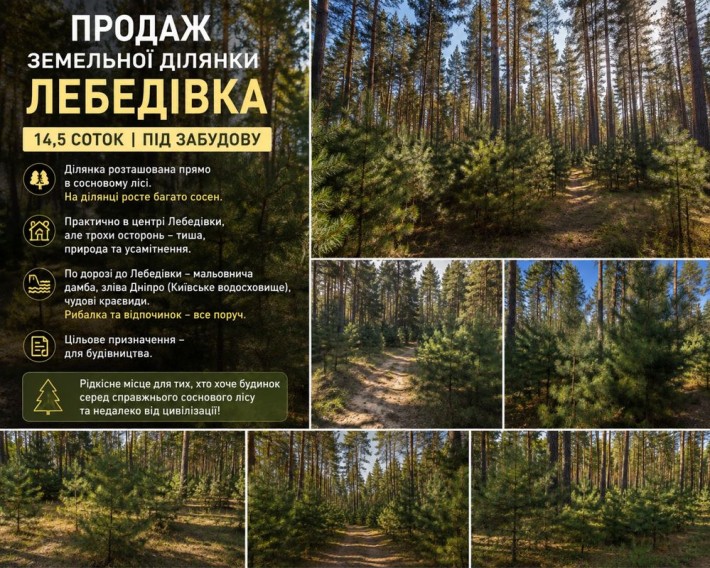 Продаж земельної ділянки в соснах!— ЛЕБЕДІВКА - фото 1